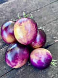 Intergalactic Tomato Seeds from Bill Yoder Beastie Boys Line  Florida Heat Friendly