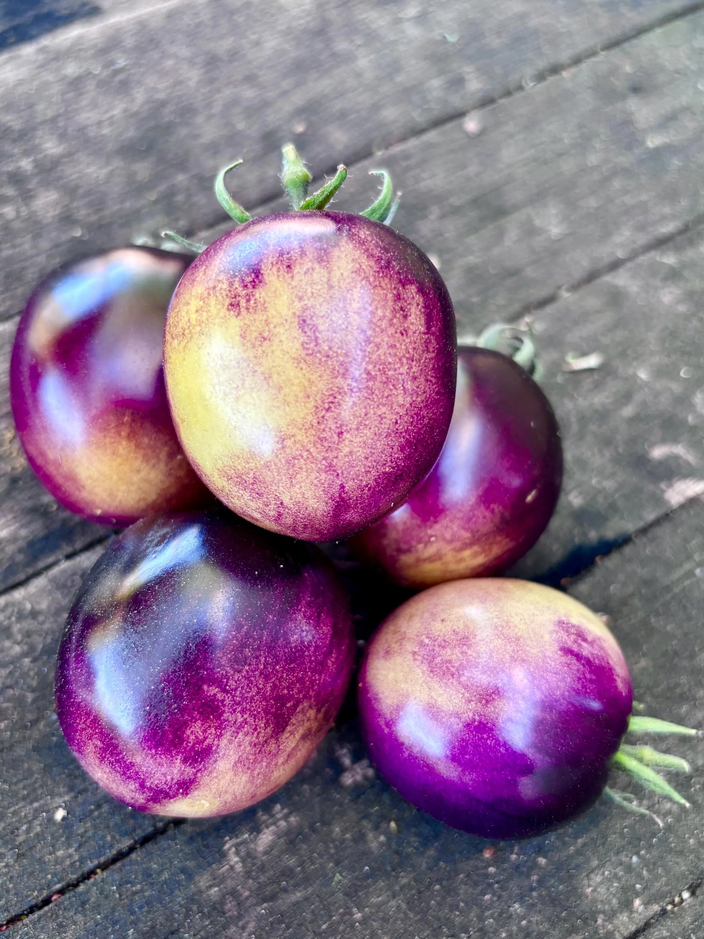 Intergalactic Tomato Seeds from Bill Yoder Beastie Boys Line  Florida Heat Friendly
