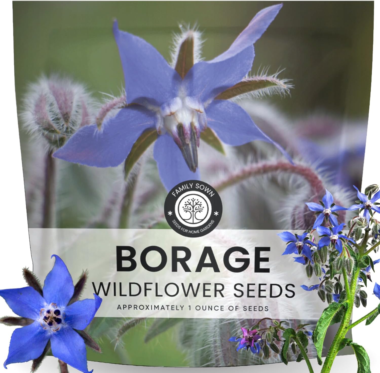 Borage – 1,000 Seeds for Planting – 2026 Season – 1 Ounce Pouch