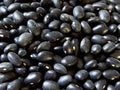 Organic Black Turtle Dry Bean Heirloom Seeds