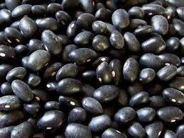 Organic Black Turtle Dry Bean Heirloom Seeds