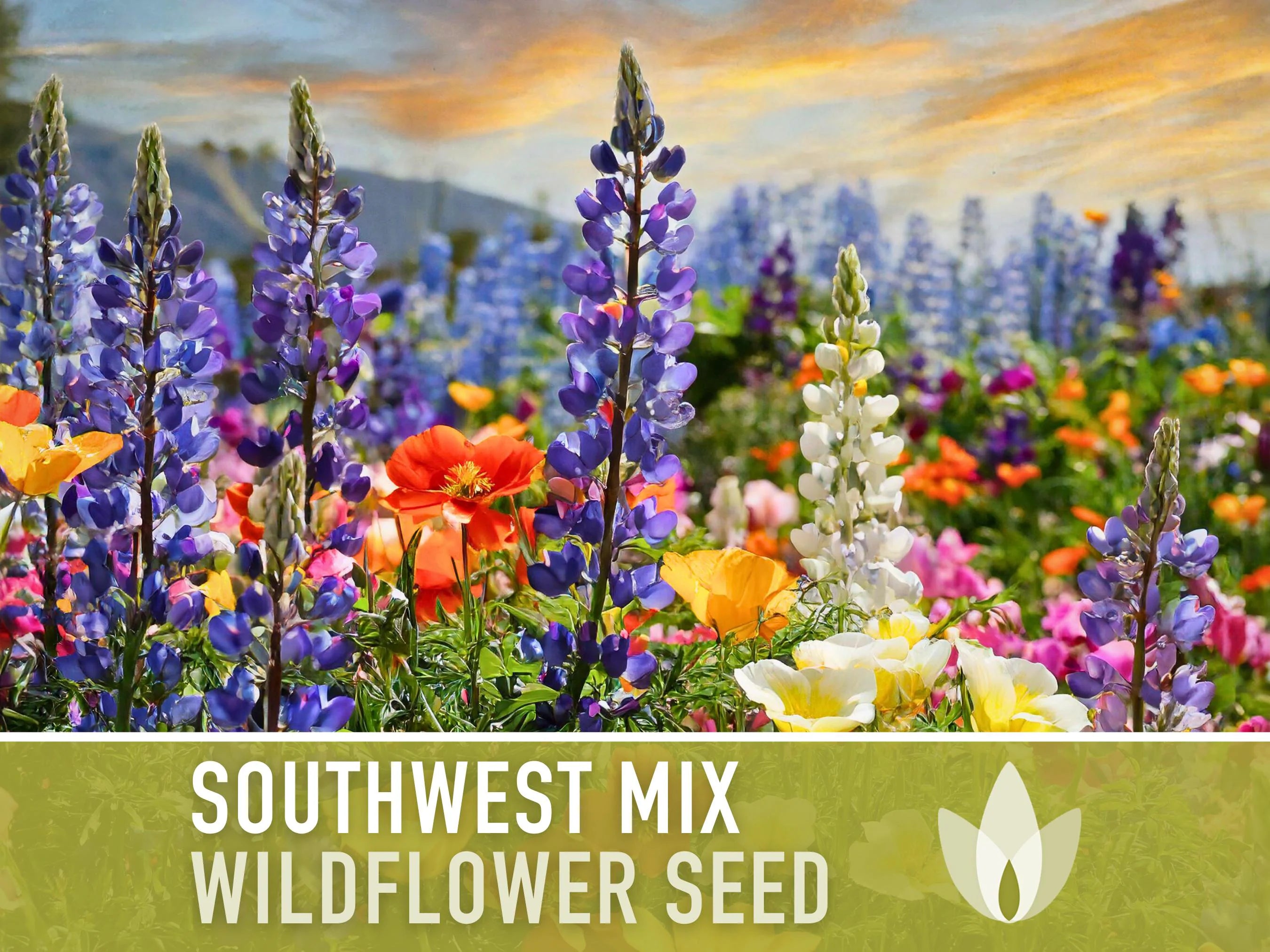Southwest Wildflower Seed Mix - 100+ Heirloom Seeds, Native Flowers, Ornamental Landscaping, Prairie Seeds, Annuals  Perennials, Non-GMO