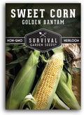 Sweet Corn Seeds for Planting - Heirloom Golden Bantam Variety - Open-Pollinated Non-GMO - Survival Garden Seeds (1 Pack)