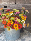 Mix Zinnia Seeds，50 Seeds， Cut Flowers,  Easy to Grow， Large Blooms, Attracts Butterflies， Double  Single Blooms