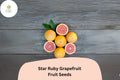 5+ Star Ruby Grapefruit Seeds – Juicy, Deep Red, Sweet-Tart Citrus Tree