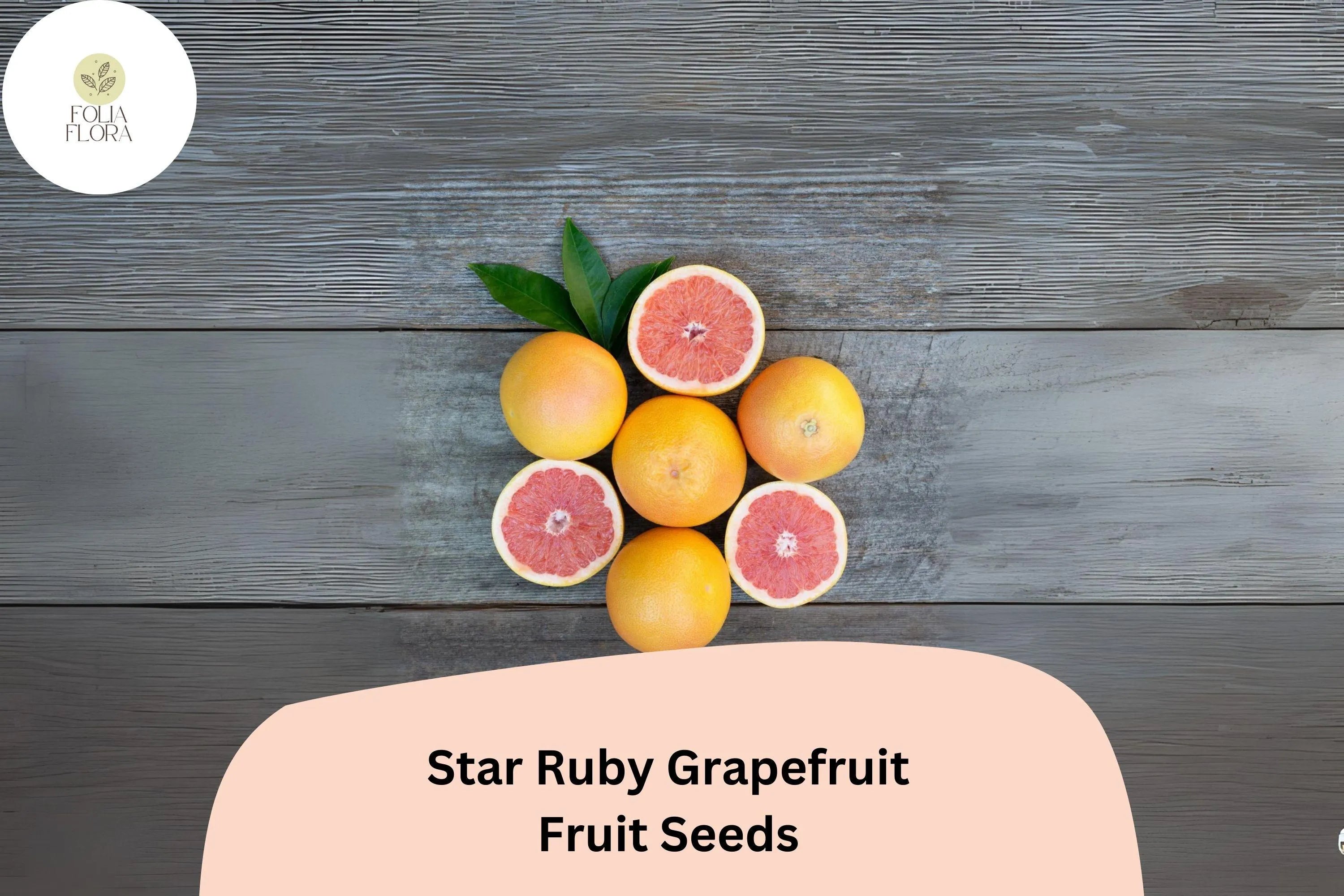 5+ Star Ruby Grapefruit Seeds – Juicy, Deep Red, Sweet-Tart Citrus Tree