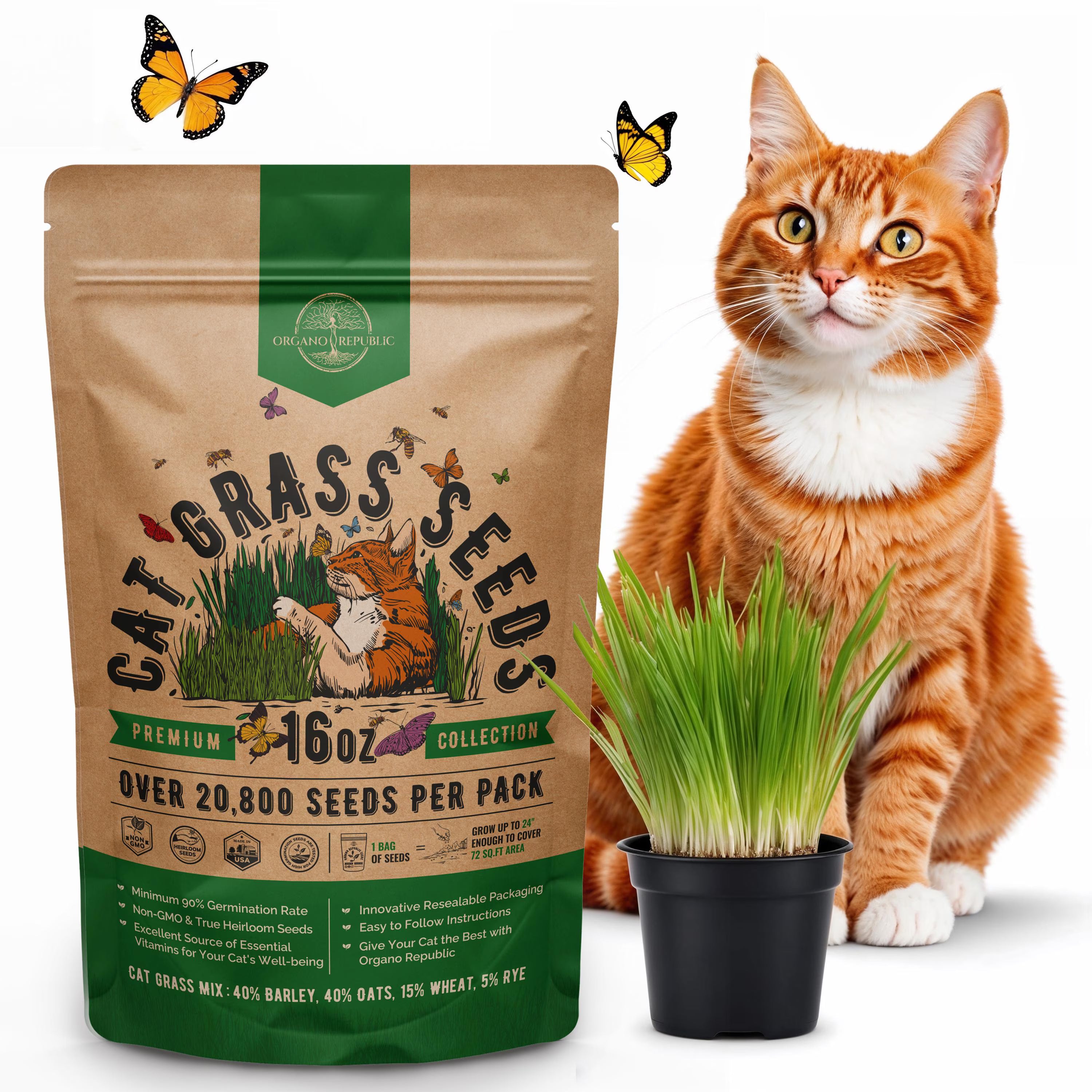 Cat Grass Seeds Mix - 20,800 Non-GMO Heirloom Seeds for Cats  Pets, 16 oz Pack for Growing Barley, Oat, Rye, Wheat Grass Seeds for Planting