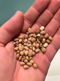 Dixie Lee Peas, Dixie Lee Crowder Peas, Crowder peas, Cowpeas, Dixie Lee Cow peas(40 seeds)