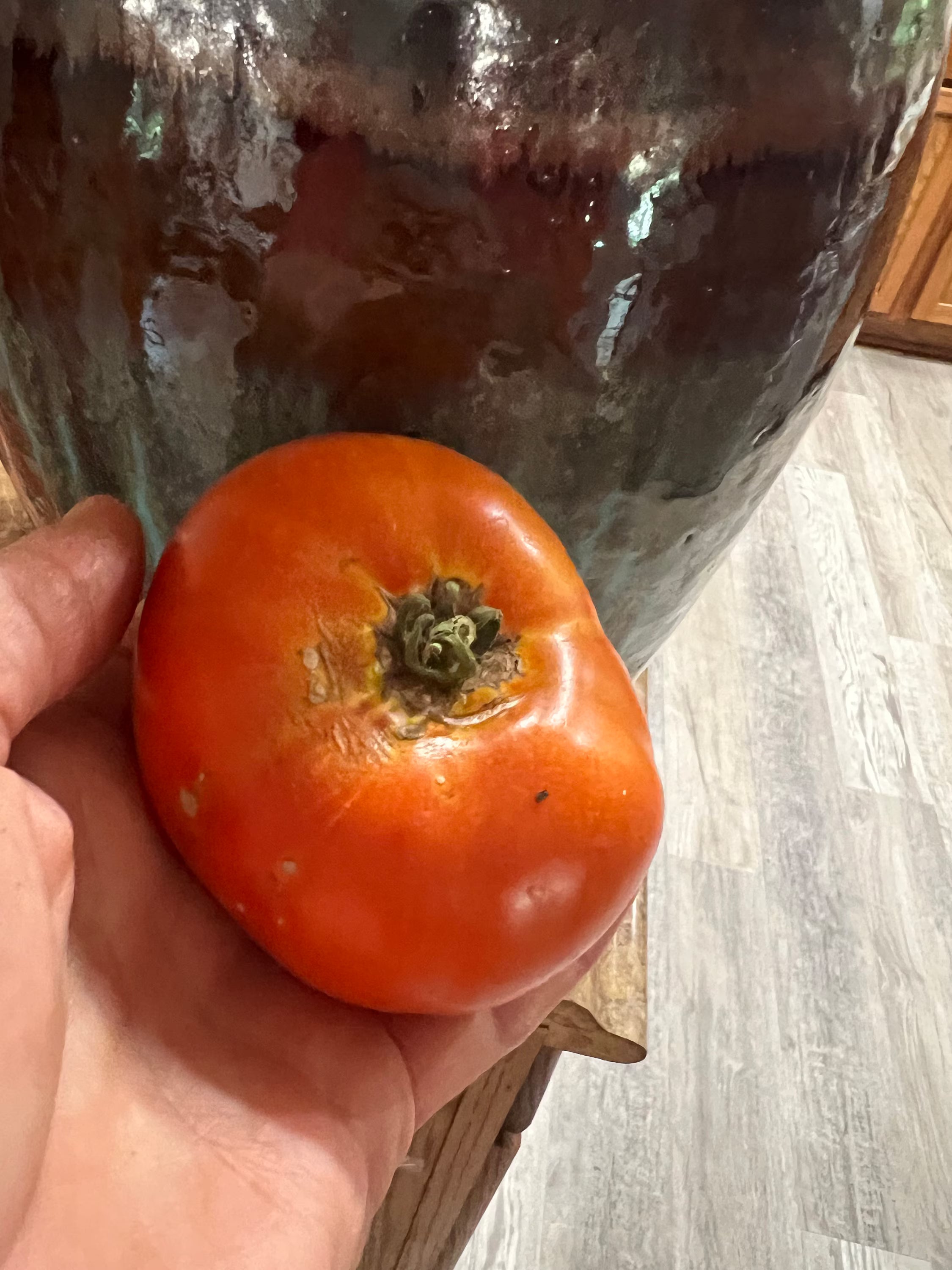 Tomato Bella Rosa , tomato seed 20