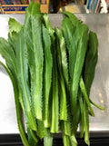 Culantro Seeds: Sawtooth Coriander, Caribbean Herb(100 seeds)