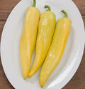 Goddess F1 Pepper Seeds(10+ Seeds)