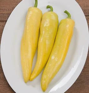 Goddess F1 Pepper Seeds(10+ Seeds)