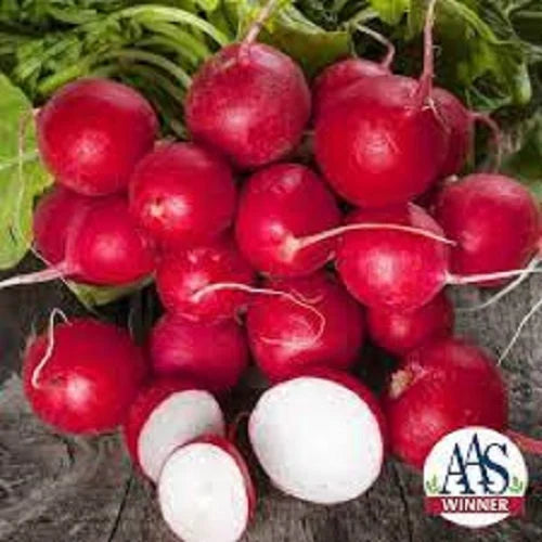 Premium Cherry Belle Radish - Fresh Organic, Heirloom Seeds - Most Popular Ever!  This is the one found in supermarkets everywhere!(100 Seeds)