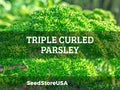 Triple Curled Parsley Seeds | Heirloom - Non-GMO | Petroselinum Crispum | Herb Seeds | Seed Store | 1134(500 Seeds)