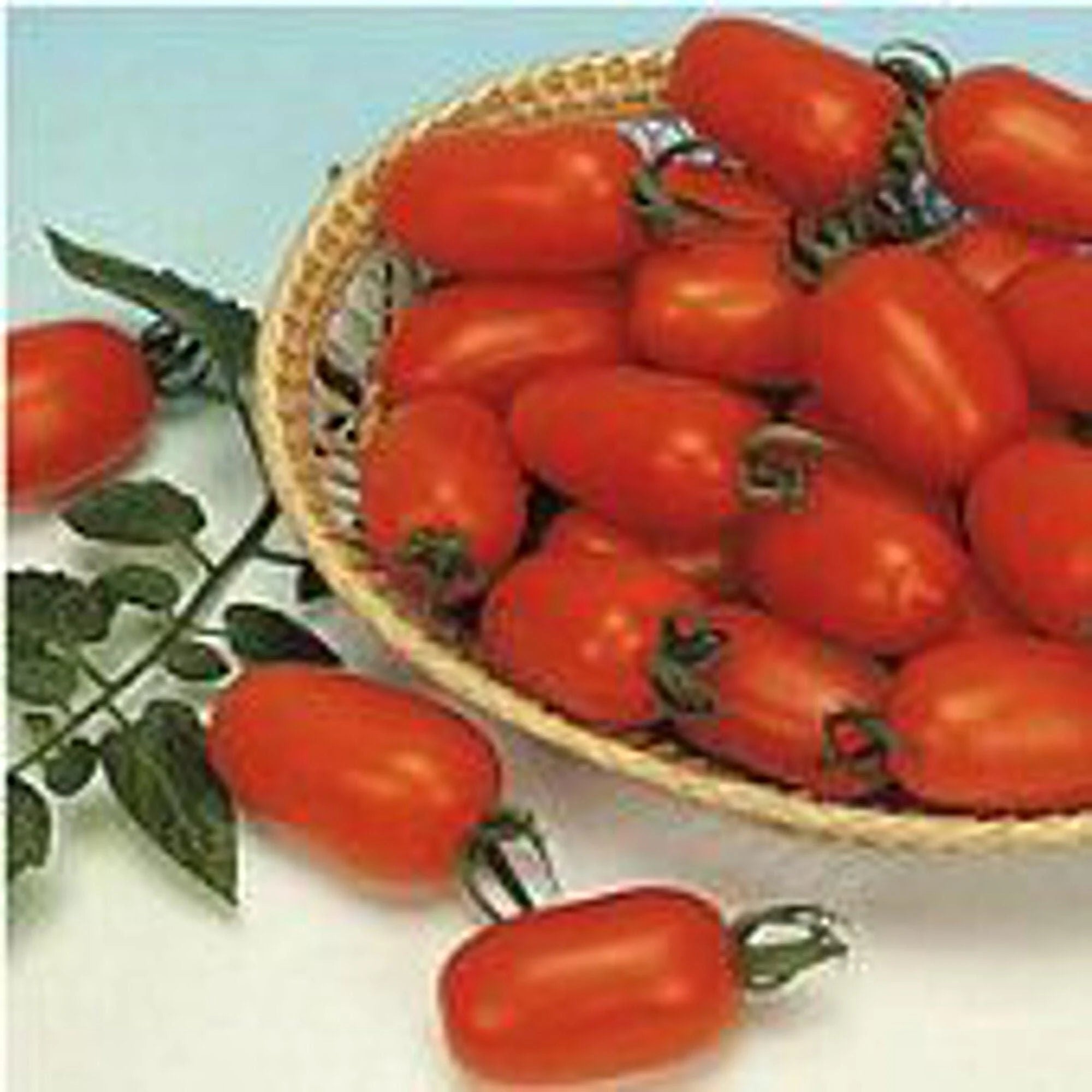 Juliet Tomato Seeds(10 Seeds)