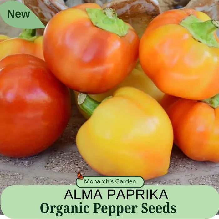 Organic Pepper Seeds ALMA PAPRIKA Pepper Open Pollinated