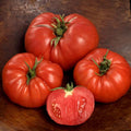 Delicious Tomato Seeds ~Solanum lyco~ Giant Beefsteak Heirloom ~1-3 Pound Fruits~ Crack Resistant ~Indeterminate~ Home Garden Favorite(10 Fresh Seeds)