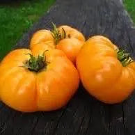 Beefsteak Tomato Seeds(5 Seeds)