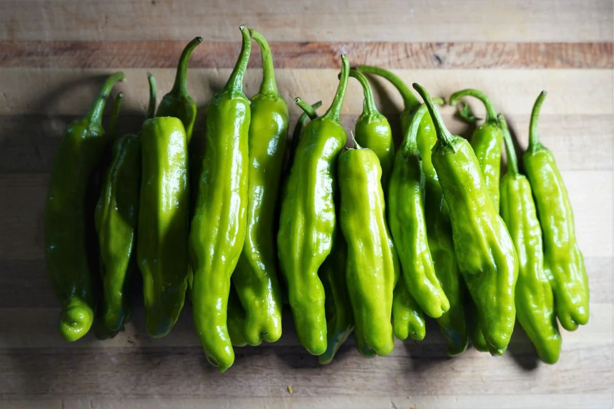 Shishito Sweet Pepper Seeds(10 Seeds)