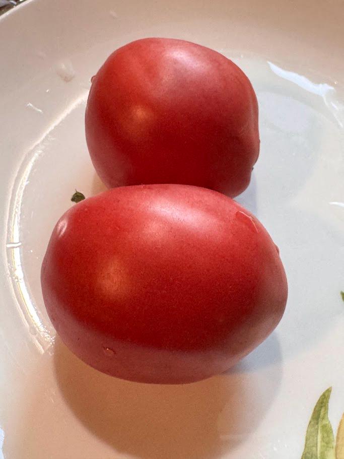 Jefferson Giant Tomato Seeds(10 Seeds)
