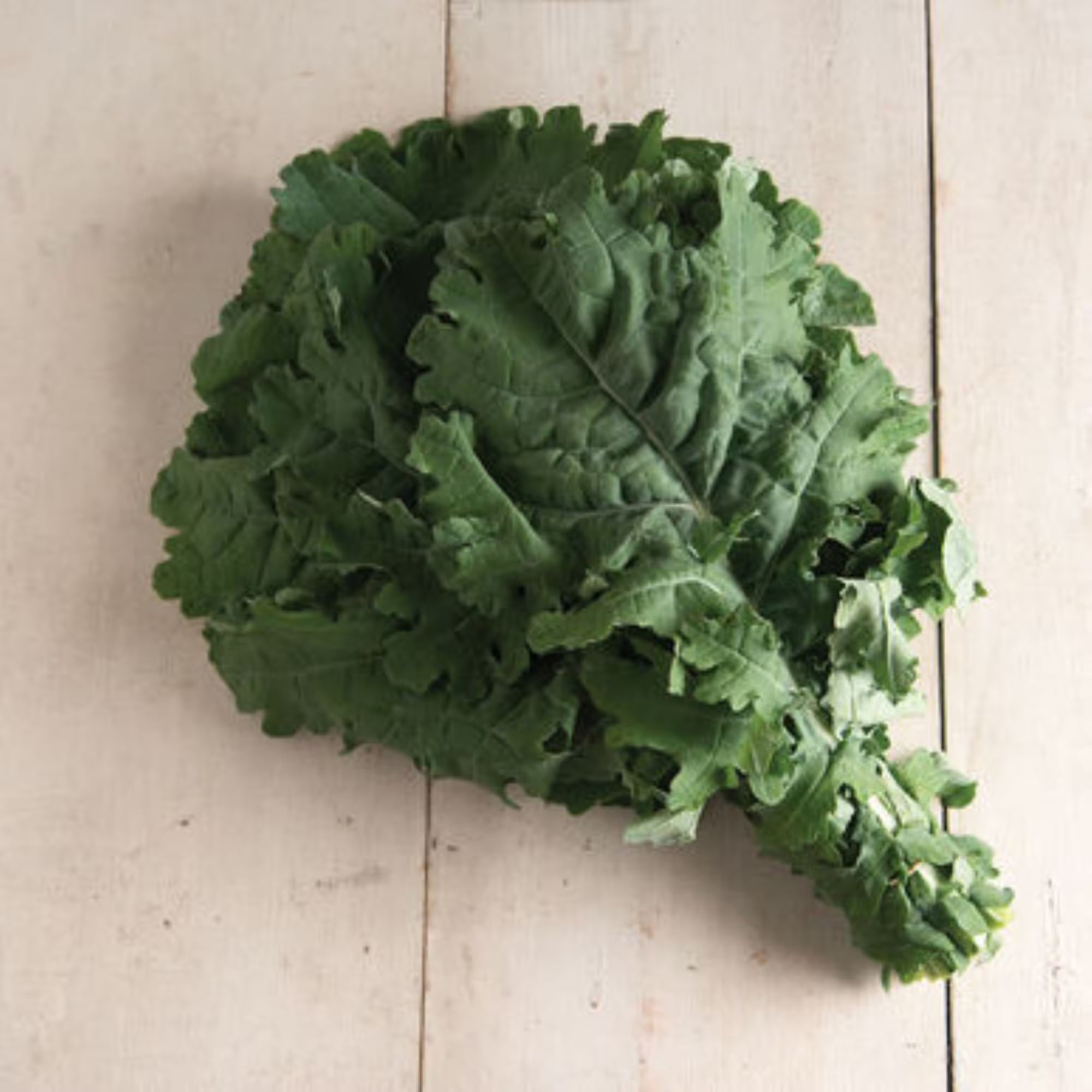 Organic White Russian Kale - One gram - Delicious ! Healthy ! Grown/Harvested in USA ! 2024 ! Specialty ! Greens !