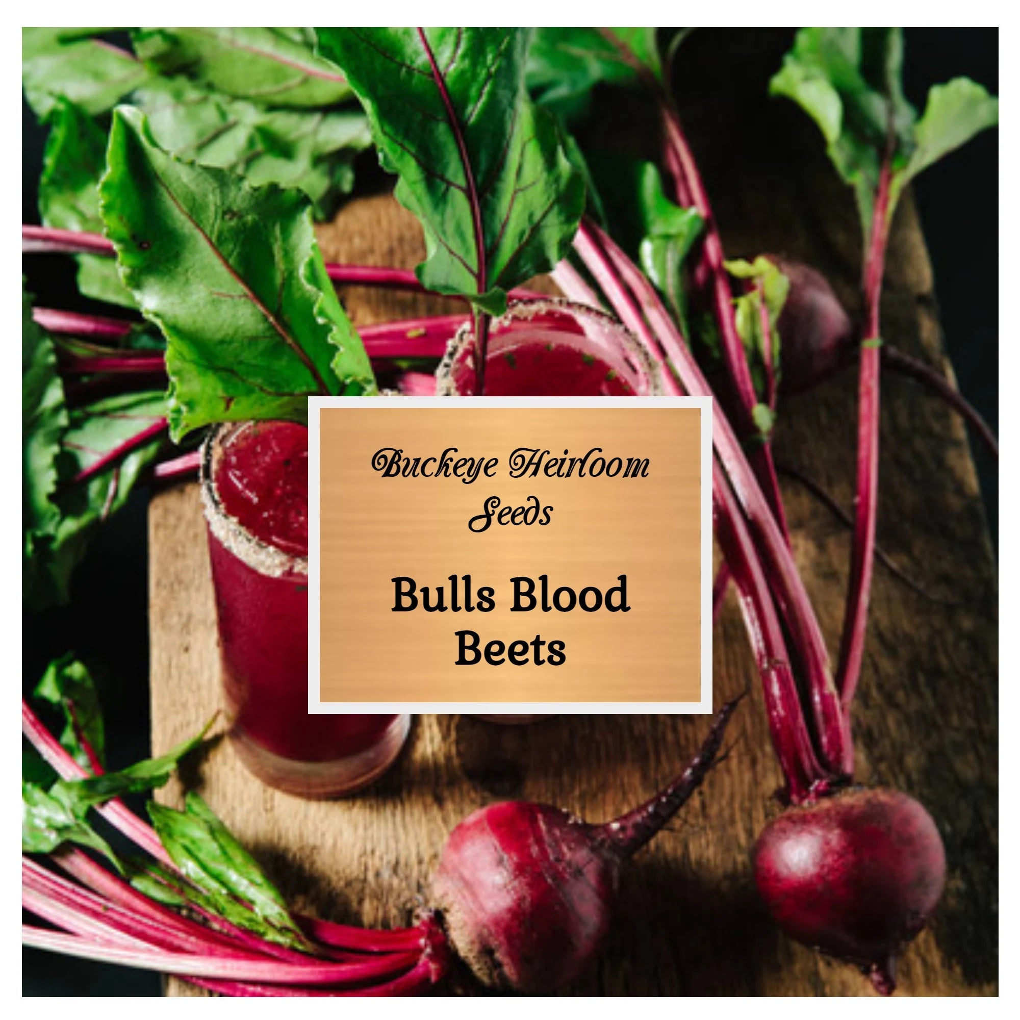 Bulls Blood Beet - Seeds - Heirloom - Grow Unique - Delicious Greens - Hydroponics - Microgreens - Buckeye Heirloom Seeds