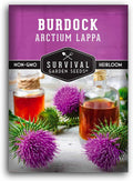 Burdock Root Seeds for Planting – Grow GOBO (Arctium lappa) Heirloom Root Vegetable – Non-GMO Medicinal Herb for Home Gardens – Survival Garden Seeds (1 Pack)