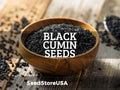Black Cumin Seeds | Heirloom - Non-GMO | Nigella Sativa | Herb Seeds | Seed Store | 1148(100 Seeds)