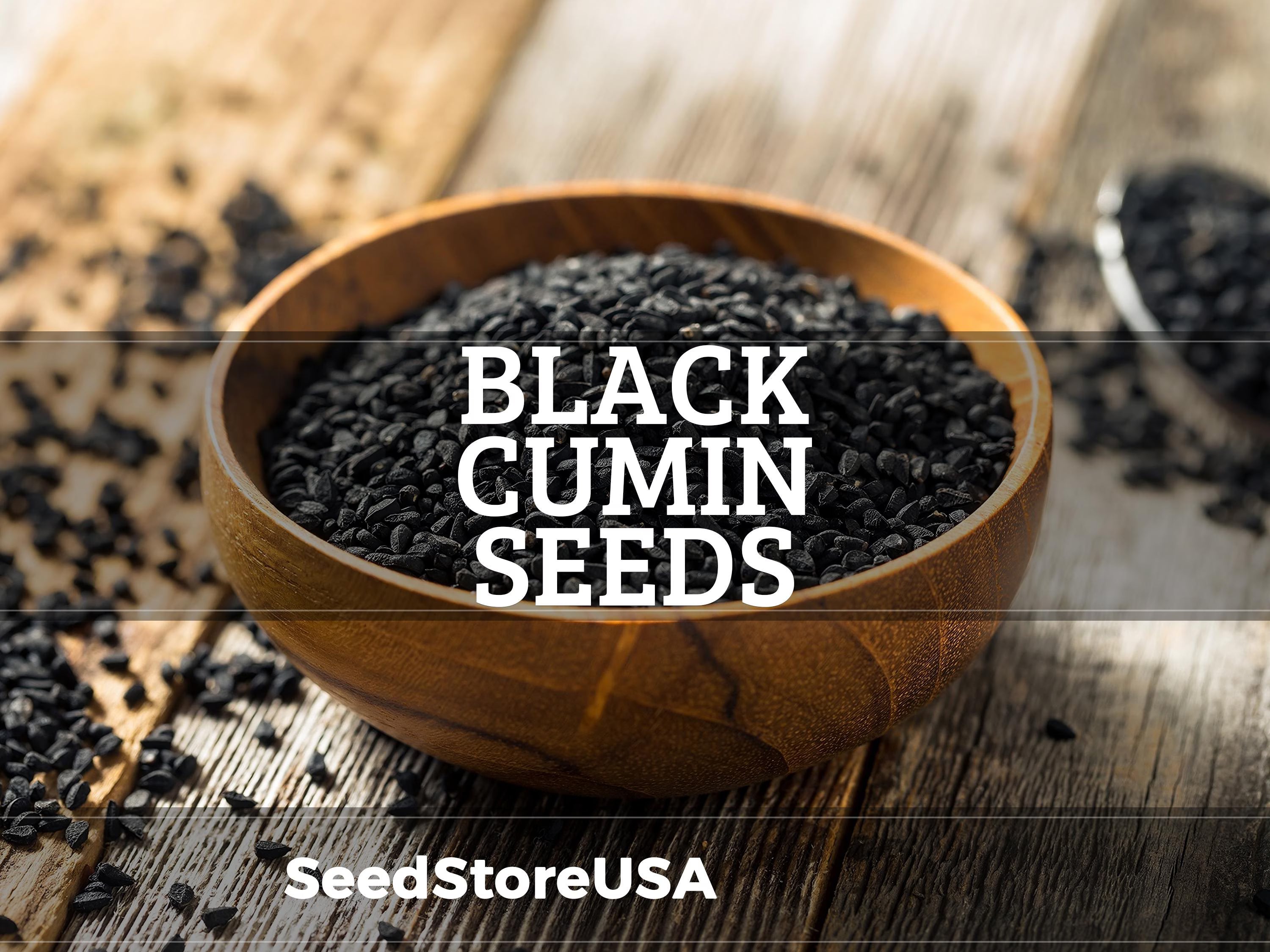 Black Cumin Seeds | Heirloom - Non-GMO | Nigella Sativa | Herb Seeds | Seed Store | 1148(100 Seeds)