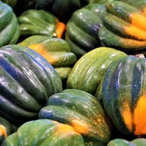 10 Seeds Non-GMO organic Table Queen acorn squash seeds