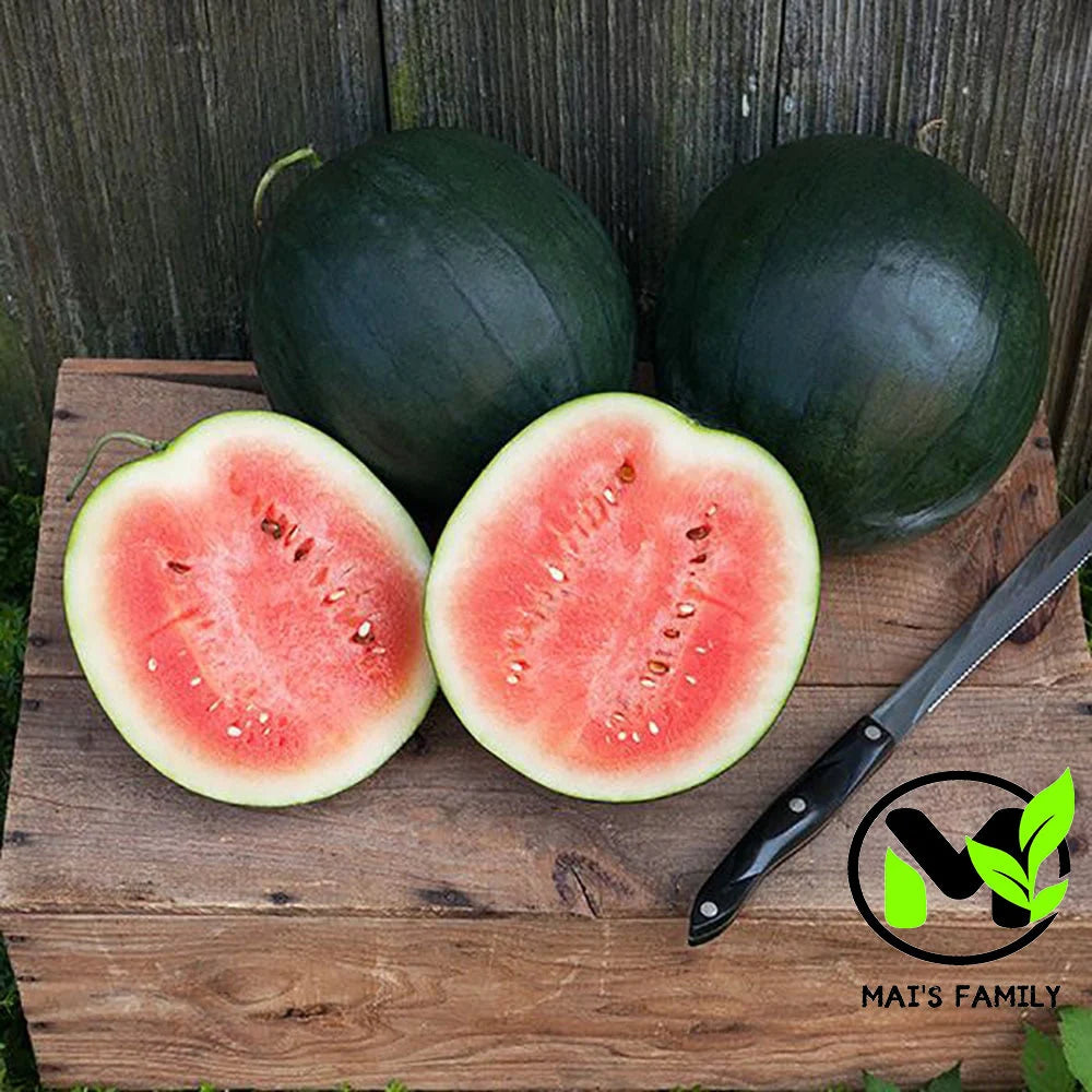 Sugar Baby Watermelon Seeds - Heirloom(25)