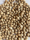 Tibetan Cherry Tree Seeds (PRUNUS SERRULA)(5 seeds)