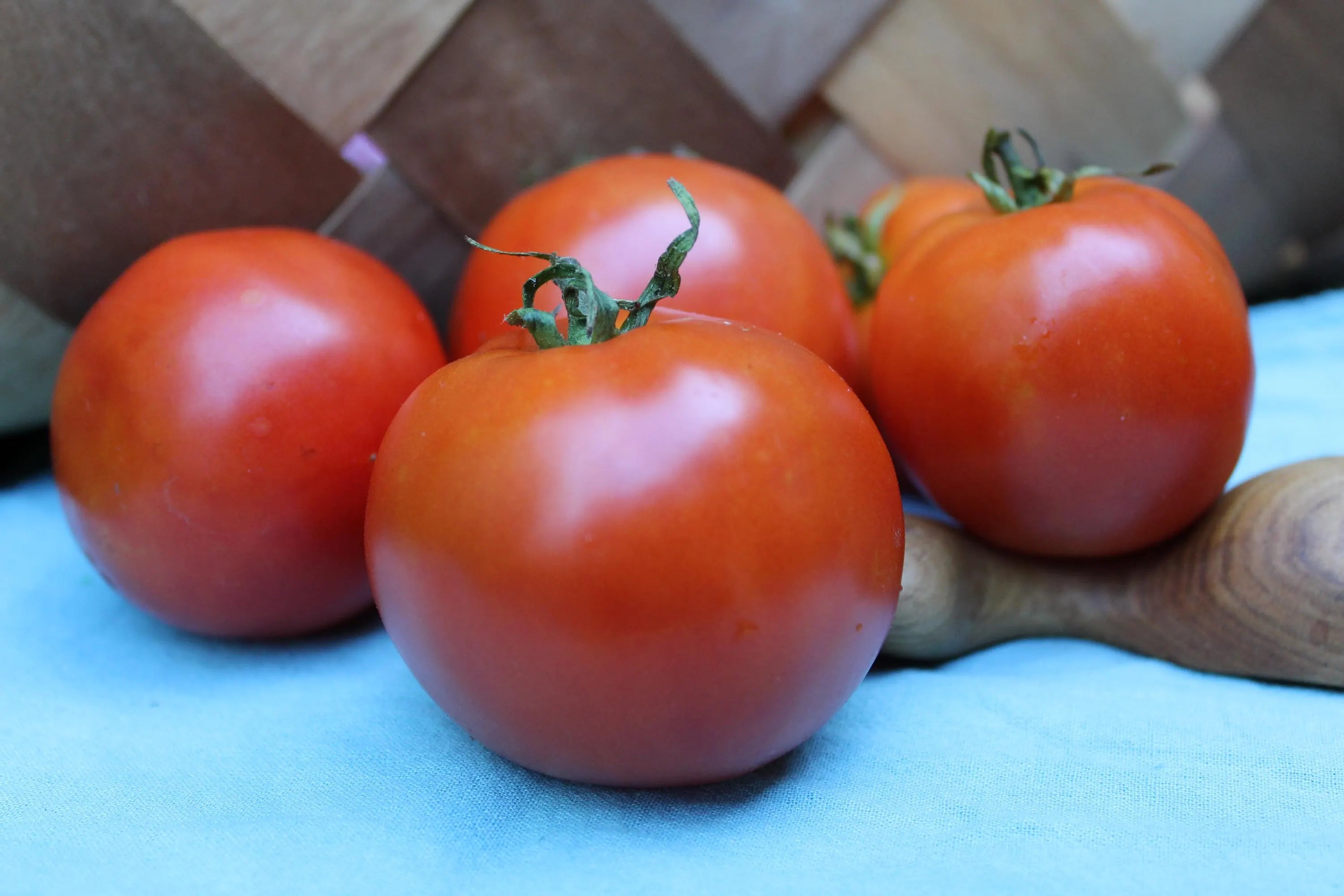 Heirloom Determinate Tomato Seed Duo: Pink Thai Egg and Mountain Princess(20 Seeds)