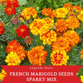 300 French Marigold Seeds Sparky Mix – Bright Orange Yellow Blooms – Easy Annual Flower for Garden, Beds, Pots, Landscaping